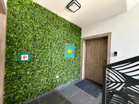 ���� ��� ���� 3-����� | Imot.bg � ����� ������ 13