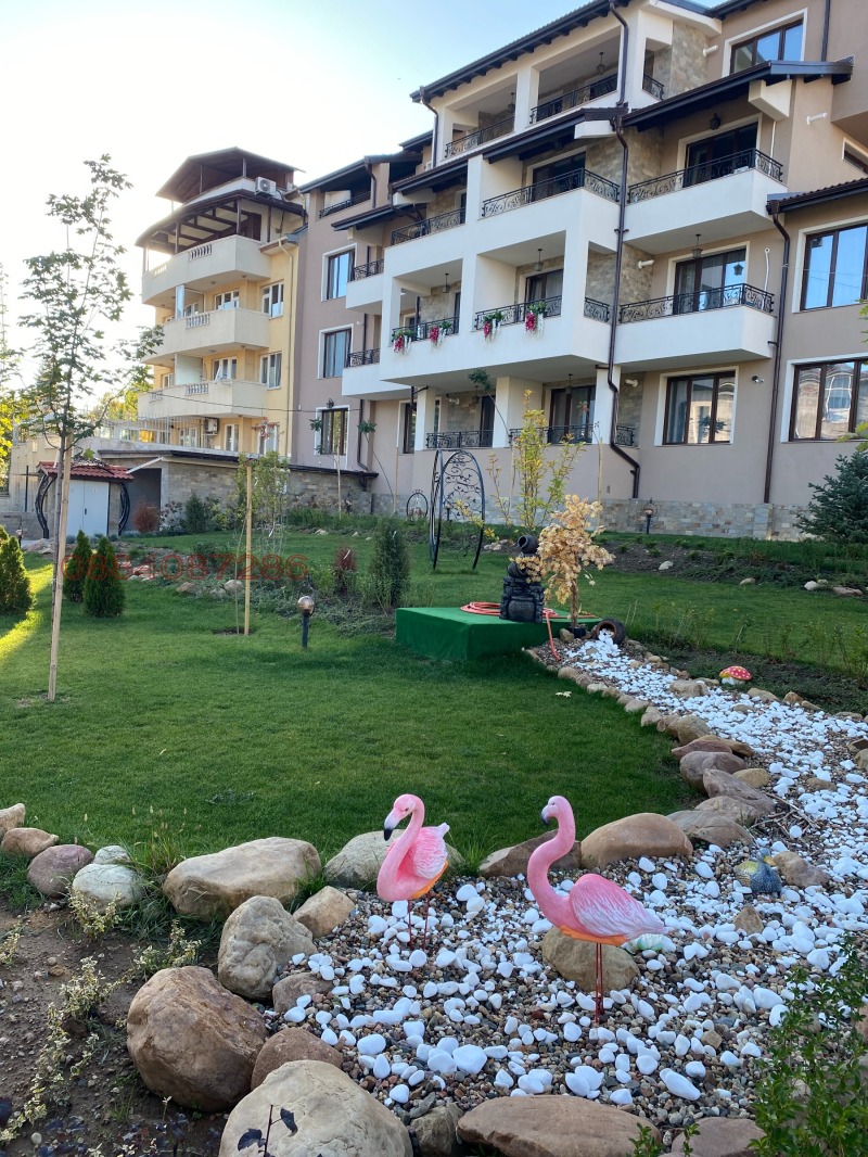 De inchiriat  1 dormitor Sofia , Carpuzița , 71 mp | 13261219 - imagine [11]