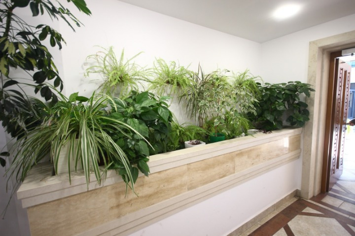 ���� ��� ���� 1-����� | Imot.bg � ����������� 16