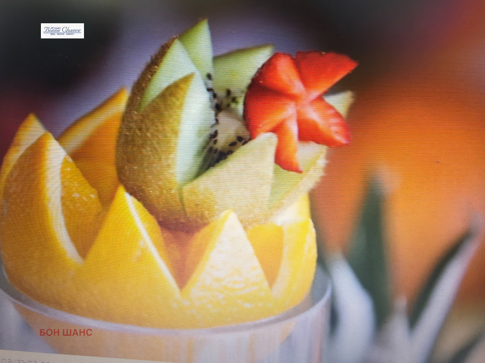 Дава под наем ЗАВЕДЕНИЕ, гр. София, Център, снимка 2 - Заведения - 54055770