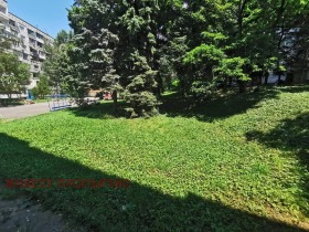 ������ ���� ��� ���� 2-�����