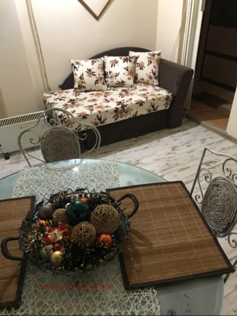 For Rent  Studio Plovdiv , Tsentar , 60 sq.m | 44455131 - image [3]