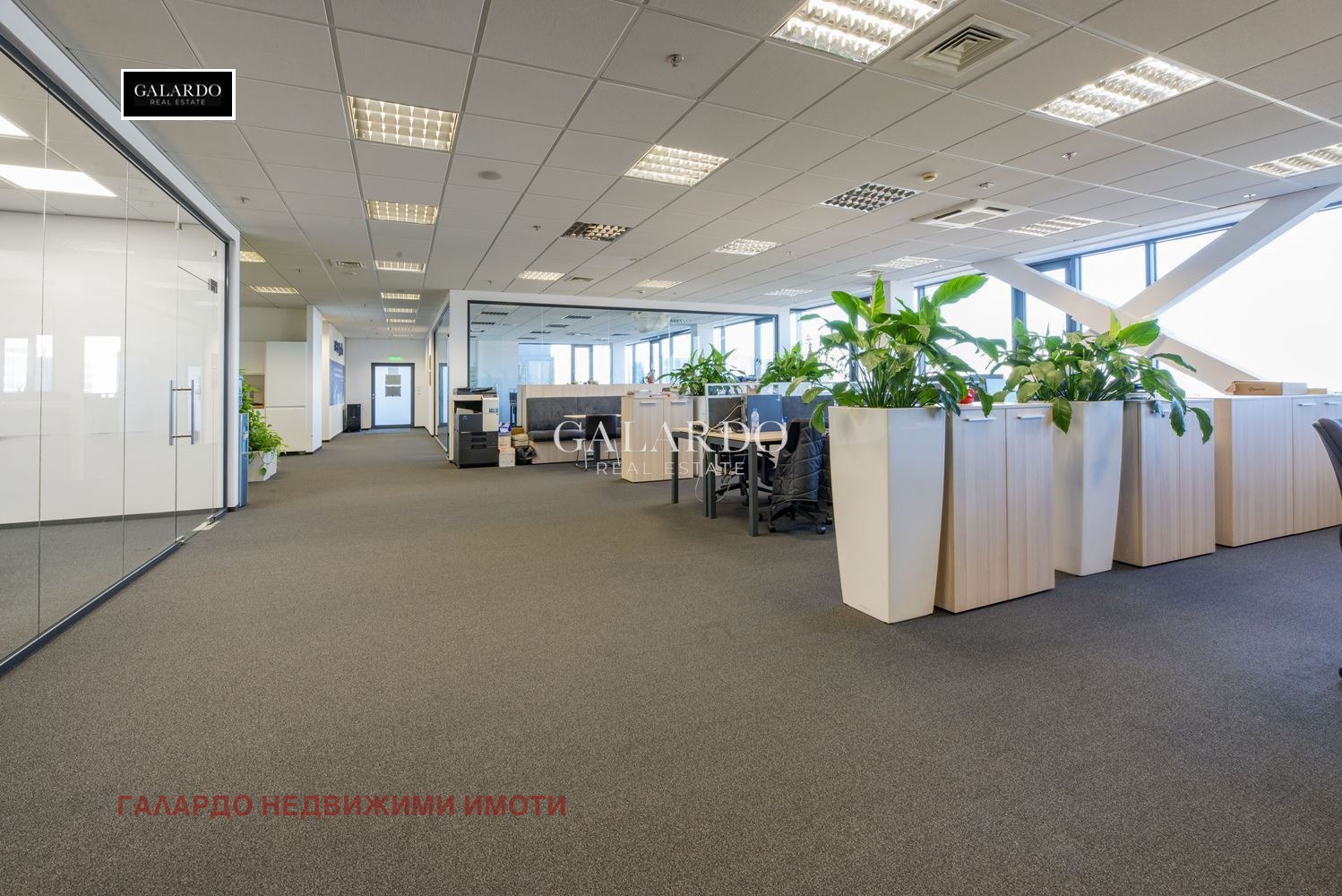 ���� ��� ���� ���� | Imot.bg � ����������� 8