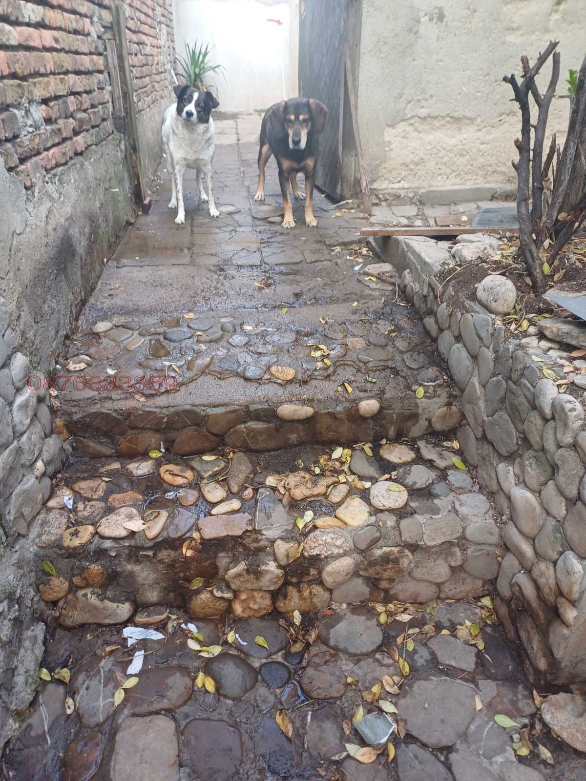 ���� ��� ���� ���� | Imot.bg � ����������� 15