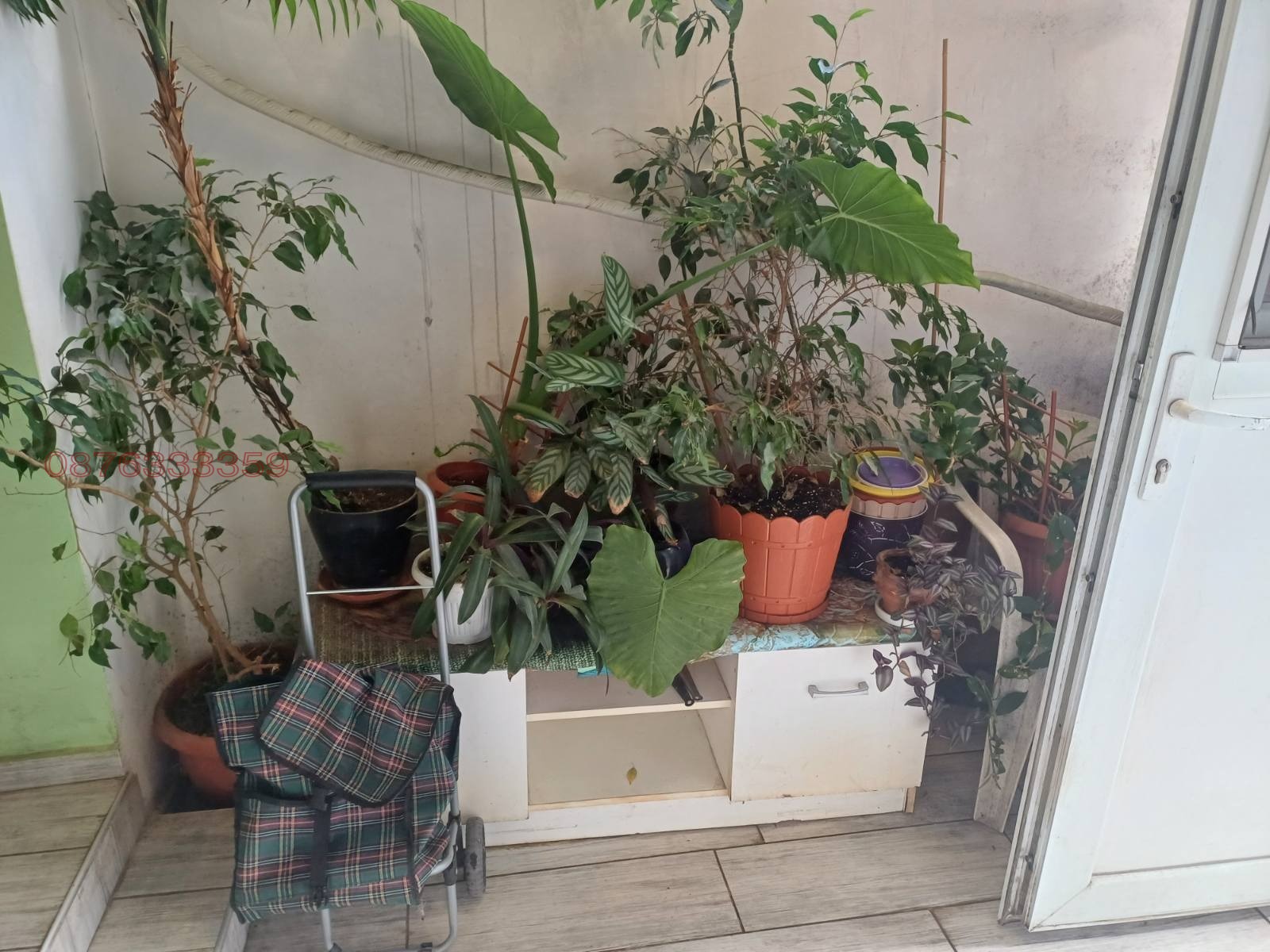 ���� ��� ���� ���� | Imot.bg � ����������� 9