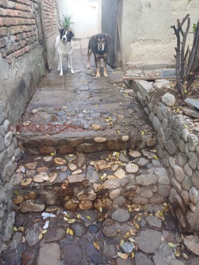 ���� ��� ���� ���� | Imot.bg � ����� ������ 15