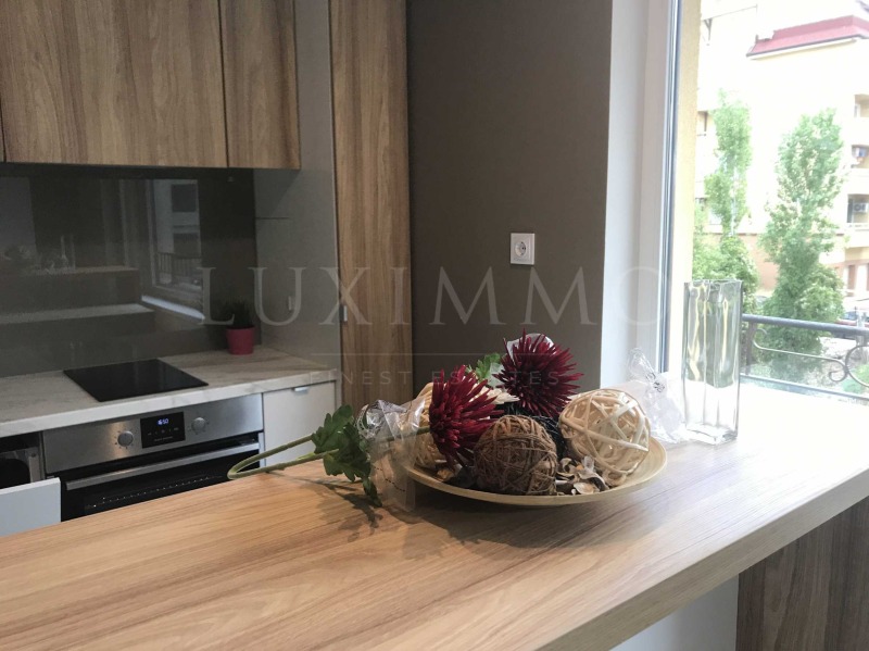 Дава под наем 2-СТАЕН, гр. София, Лозенец, снимка 17 - Апартаменти - 52823205