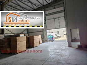 ����� ���� ��� ���� ����. ���������,���� �������, ������������ ���� - �����