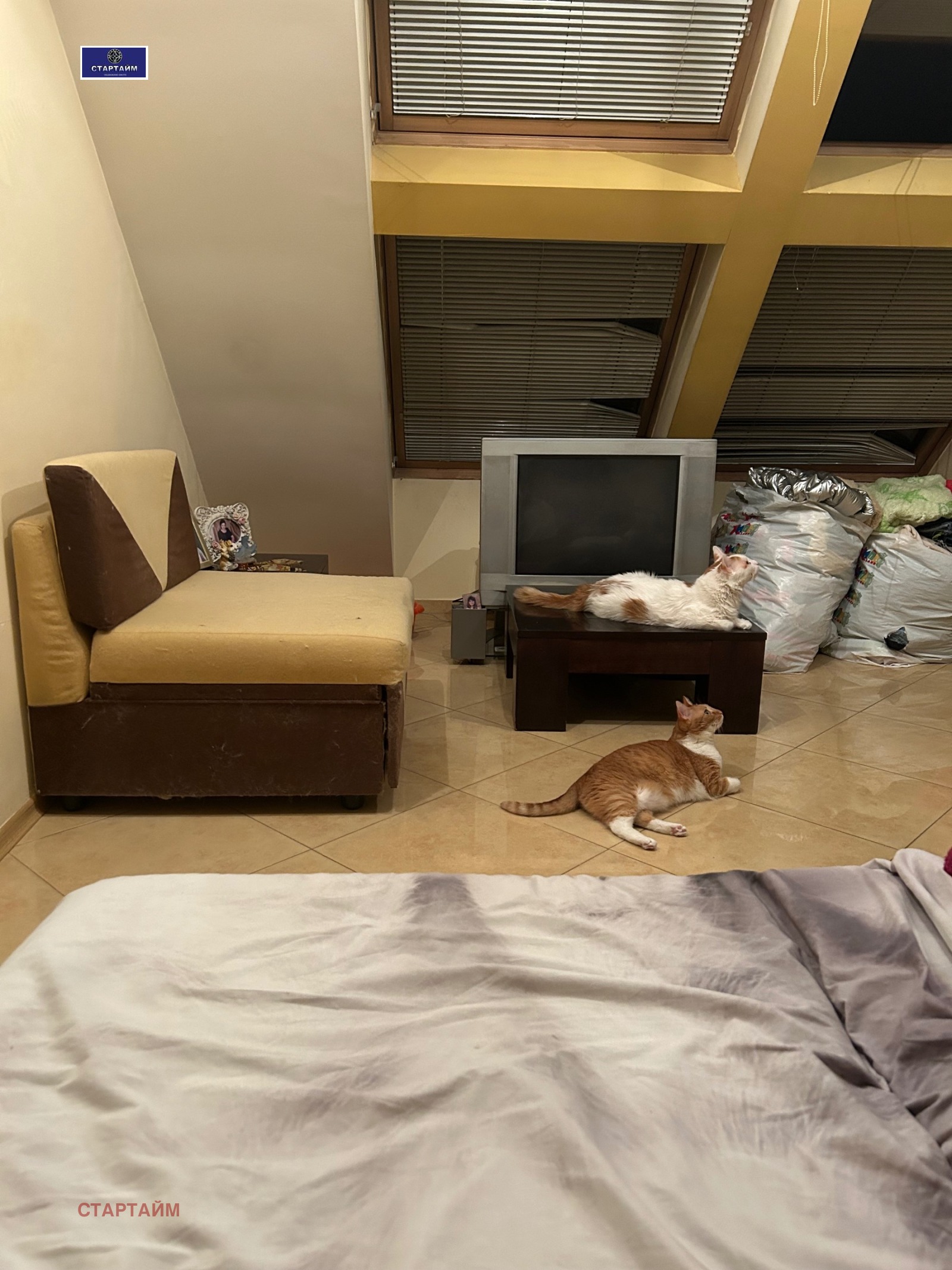 ���� ��� ���� 2-����� | Imot.bg � ����������� 7