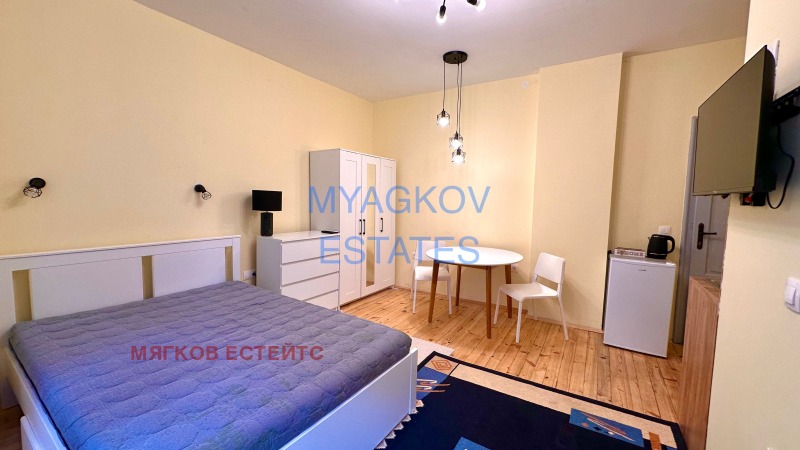 Дава под наем 1-СТАЕН, гр. София, Център, снимка 4 - Апартаменти - 52887739