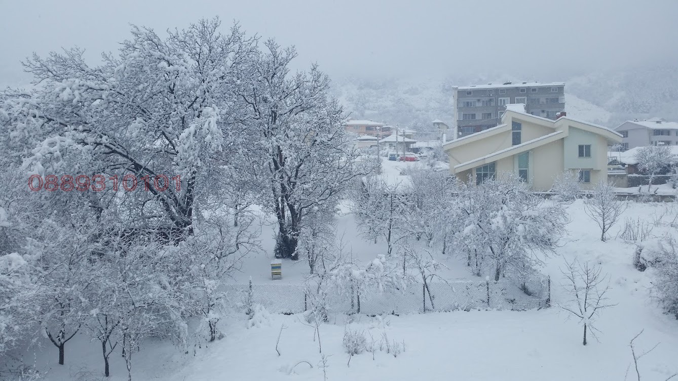 ���� ��� ���� 1-����� | Imot.bg � ����������� 16
