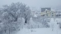 Дава под наем  1-стаен област Пловдив , гр. Карлово , 37 кв.м | 18243945 - изображение [16]