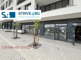 ������ ���� ��� ���� �������