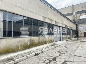 ����� ���� ��� ���� �����,���� �����, ���������� ���� ������