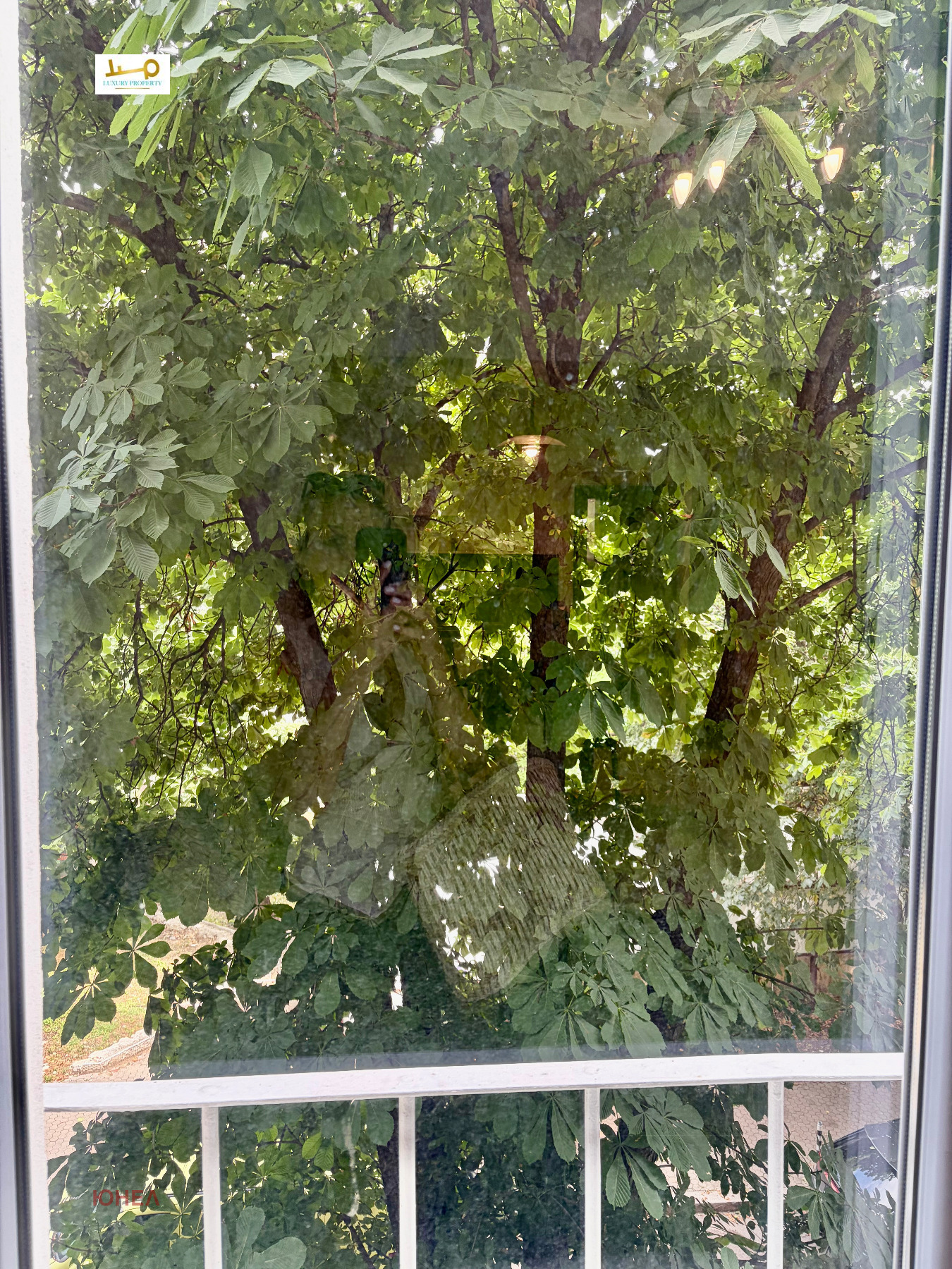 ���� ��� ���� 3-����� | Imot.bg � ����������� 13