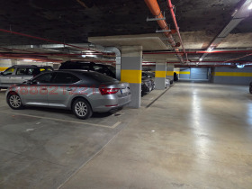 ����� ���� ��� ���� ����������,���� �����, �����