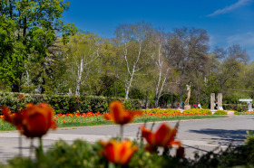 ����� ���� ��� ���� 2-�����,���� �����, ��������� ��������