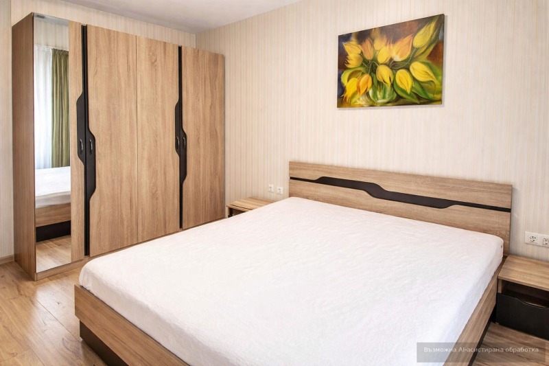 Дава под наем 2-СТАЕН, гр. Пловдив, Център, снимка 2 - Апартаменти - 53379519