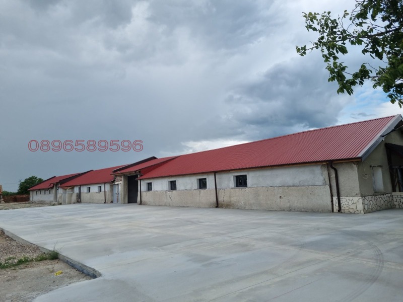 Do wynajęcia  Składowanie region Płowdiw , Rakowski , 750 mkw | 80534541 - obraz [2]