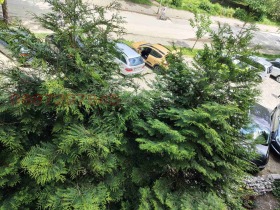 ���� ��� ���� 2-����� | Imot.bg � ����� ������ 8