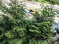 Дава под наем 2-СТАЕН, гр. Пловдив, Кючук Париж, снимка 8