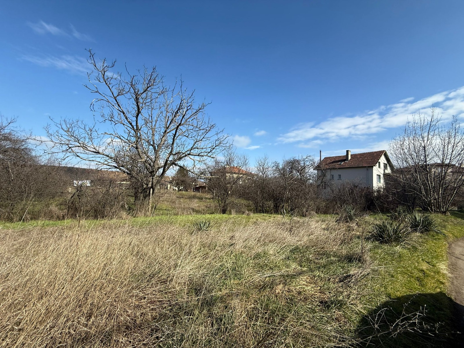 ���� ��� ���� ����� | Imot.bg � ����������� 4