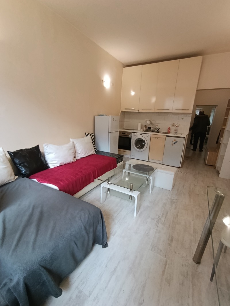 De inchiriat  1 dormitor Sofia , Țentâr , 50 mp | 17873800 - imagine [2]