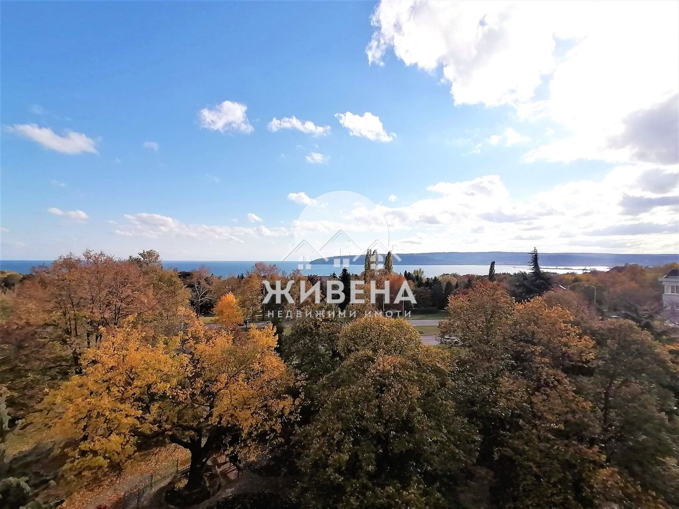 ���� ��� ���� 4-����� | Imot.bg � ����������� 7