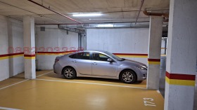 ����� ���� ��� ���� ����������,���� �������, ����� � �������