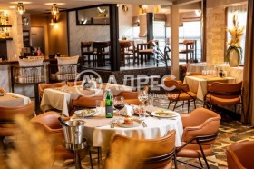 ������ ���� ��� ���� �������