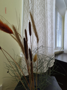 ���� ��� ���� 3-����� | Imot.bg � ����� ������ 2