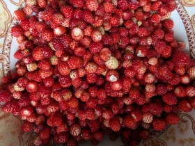 ���� ��� ���� ���� | Imot.bg � ����� ������ 15