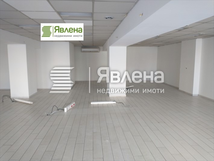 Издаје се  Схоп Софија , Центар , 310 м2 | 87981155