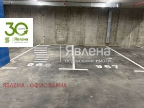 ����� ���� ��� ���� �����,���� �����, ������