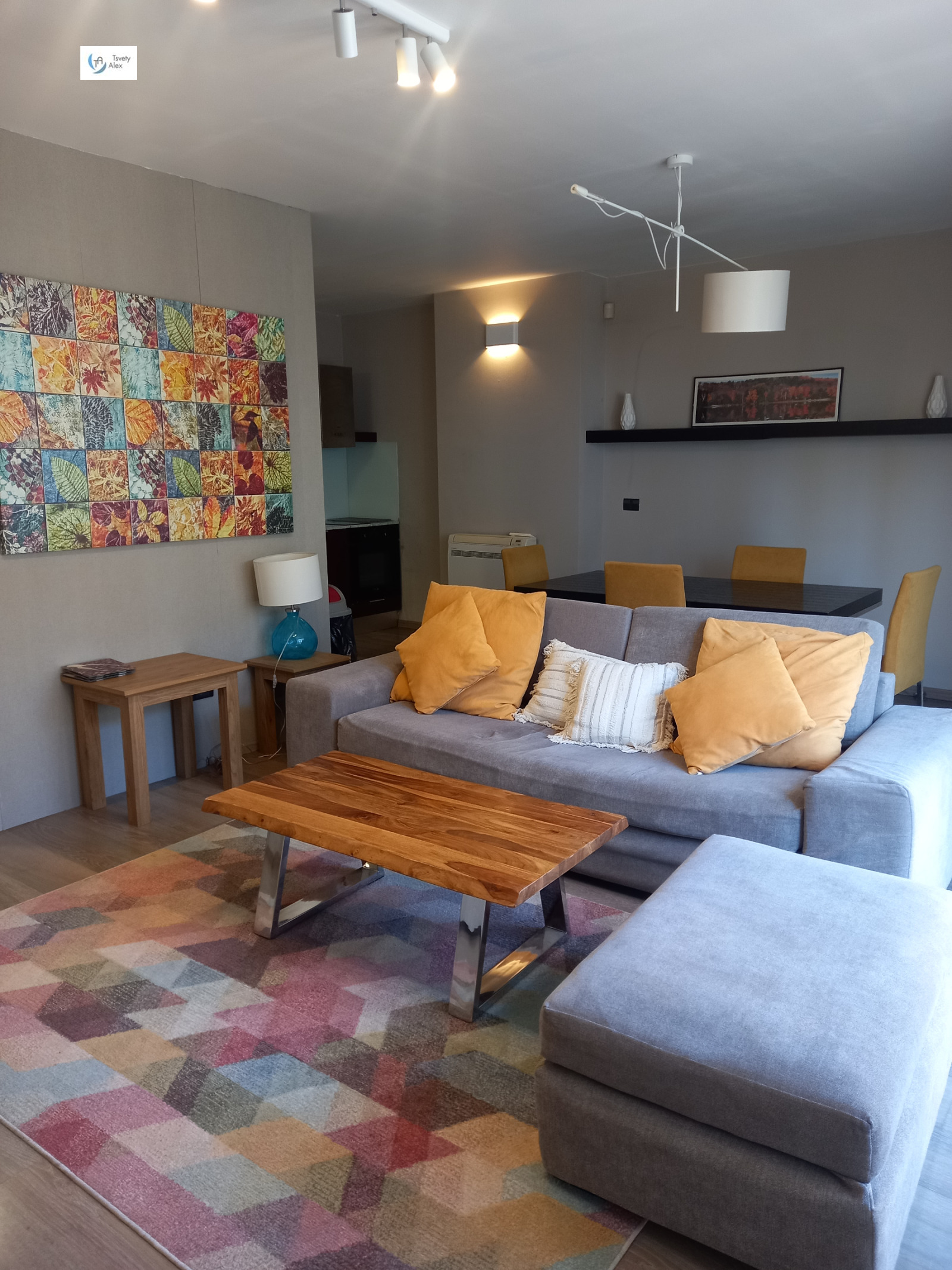 Дава под наем 2-СТАЕН, гр. София, Център, снимка 3 - Апартаменти - 53830058