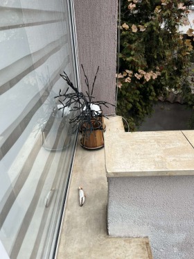 ���� ��� ���� 1-����� | Imot.bg � ����� ������ 3