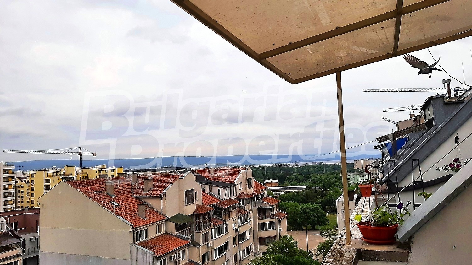 ���� ��� ���� 1-����� | Imot.bg � ����������� 3