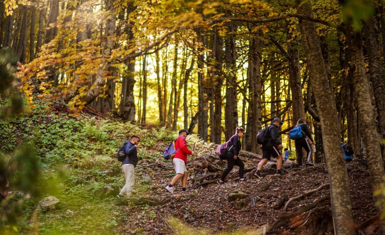 ���� ��� ���� ���� | Imot.bg � ����������� 1