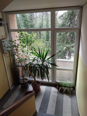 ���� ��� ���� 3-����� | Imot.bg � ����� ������ 15