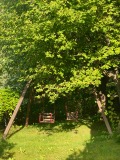 Дава под наем КЪЩА, гр. София, Симеоново, снимка 4