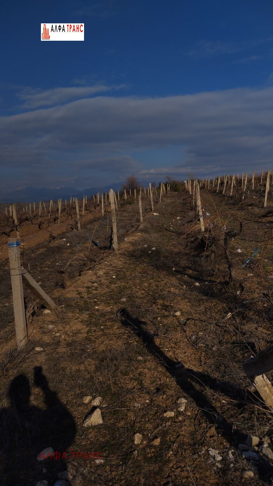 ���� ��� ������ ���������� ���� | Imot.bg � ����������� 10