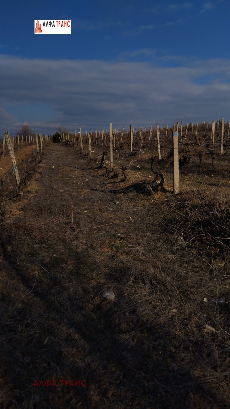 ���� ��� ������ ���������� ���� | Imot.bg � ����������� 11