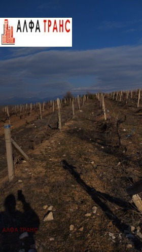 ���� ��� ������ ���������� ���� | Imot.bg � ����� ������ 10