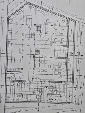 ������ ���� ��� ���� ���������