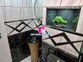 Под наем 2-СТАЕН, град Стара Загора, Била • 900 лв. / 460.16 € • 44641614 14
