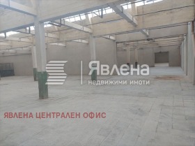 ������ ���� ��� ���� ����. ���������