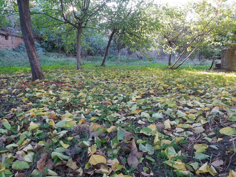 Дава под наем КЪЩА, с. Тънково, област Хасково, снимка 8 - Къщи - 52781144