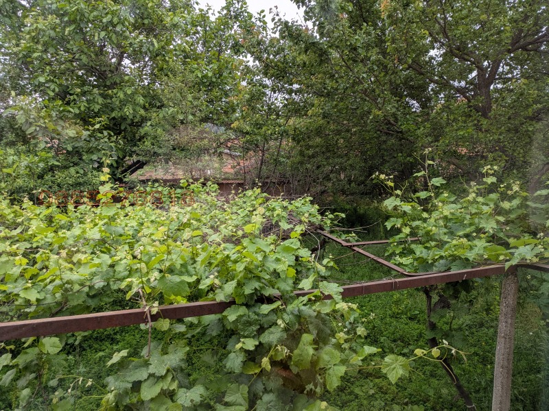 Дава под наем КЪЩА, с. Тънково, област Хасково, снимка 6 - Къщи - 52781144