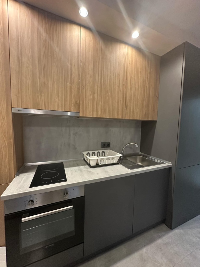 Προς ενοικίαση  1 υπνοδωμάτιο Σοφηια , Μαληνοβα δοληνα , 55 τ.μ | 66343492 - εικόνα [4]