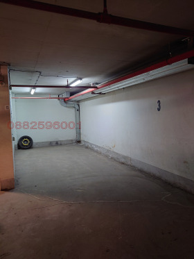 ����� ���� ��� ���� ����������,���� �����, ���� ������